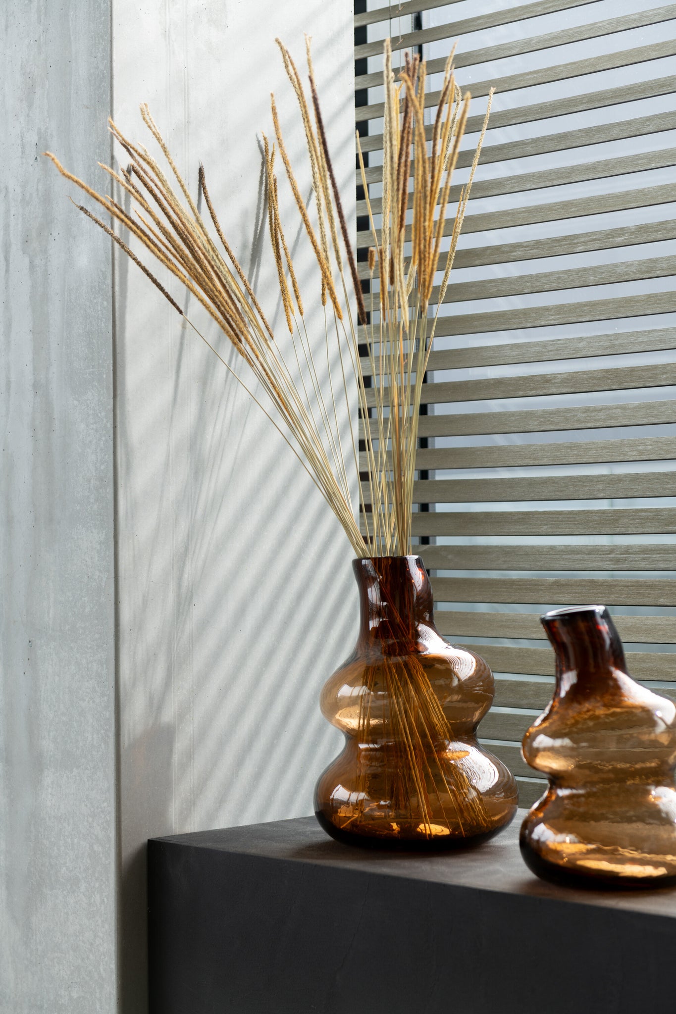 Bündel getrocknetes orientalisches Lampenputzergras, natürlich
