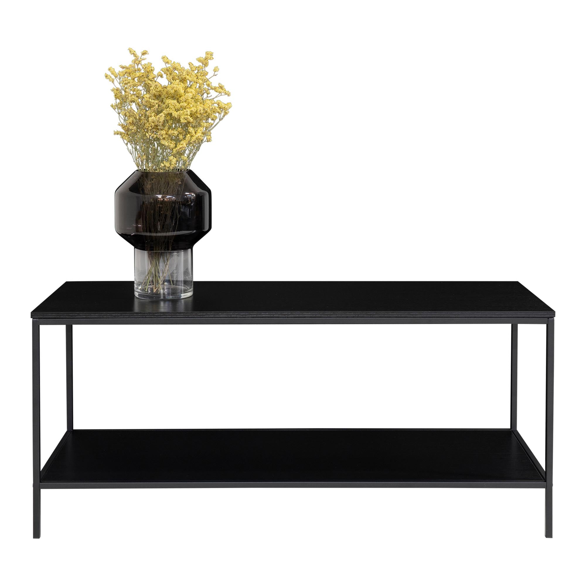 Vita TV-Ständer - TV-Möbel, 2 Ablagen, schwarz, schwarzer Rahmen 100x36x45 cm