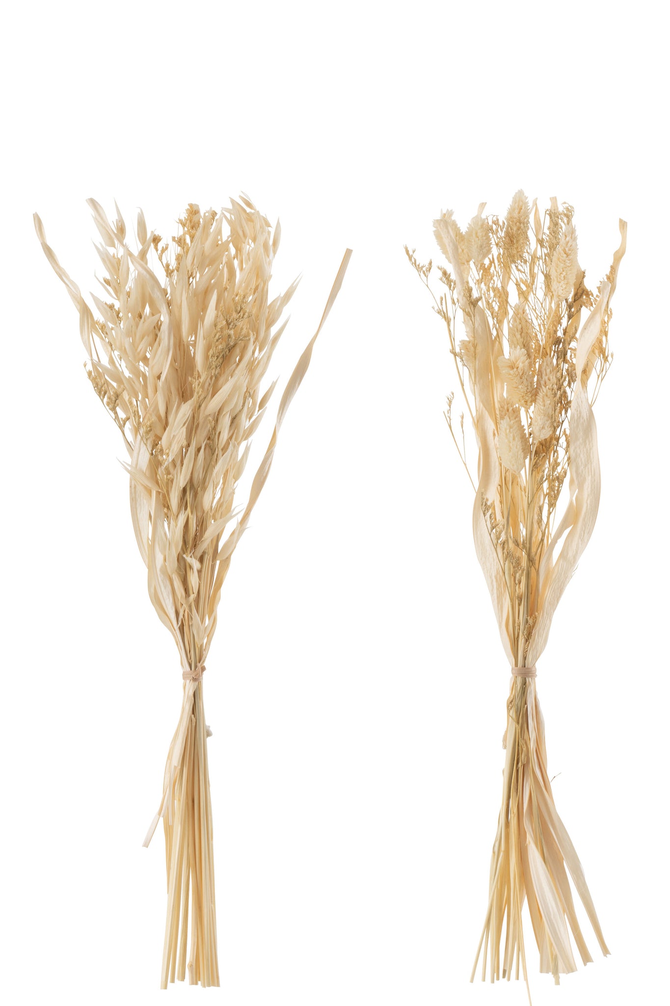 Bunch Dried Avana Grass Natural Assortment Of 2