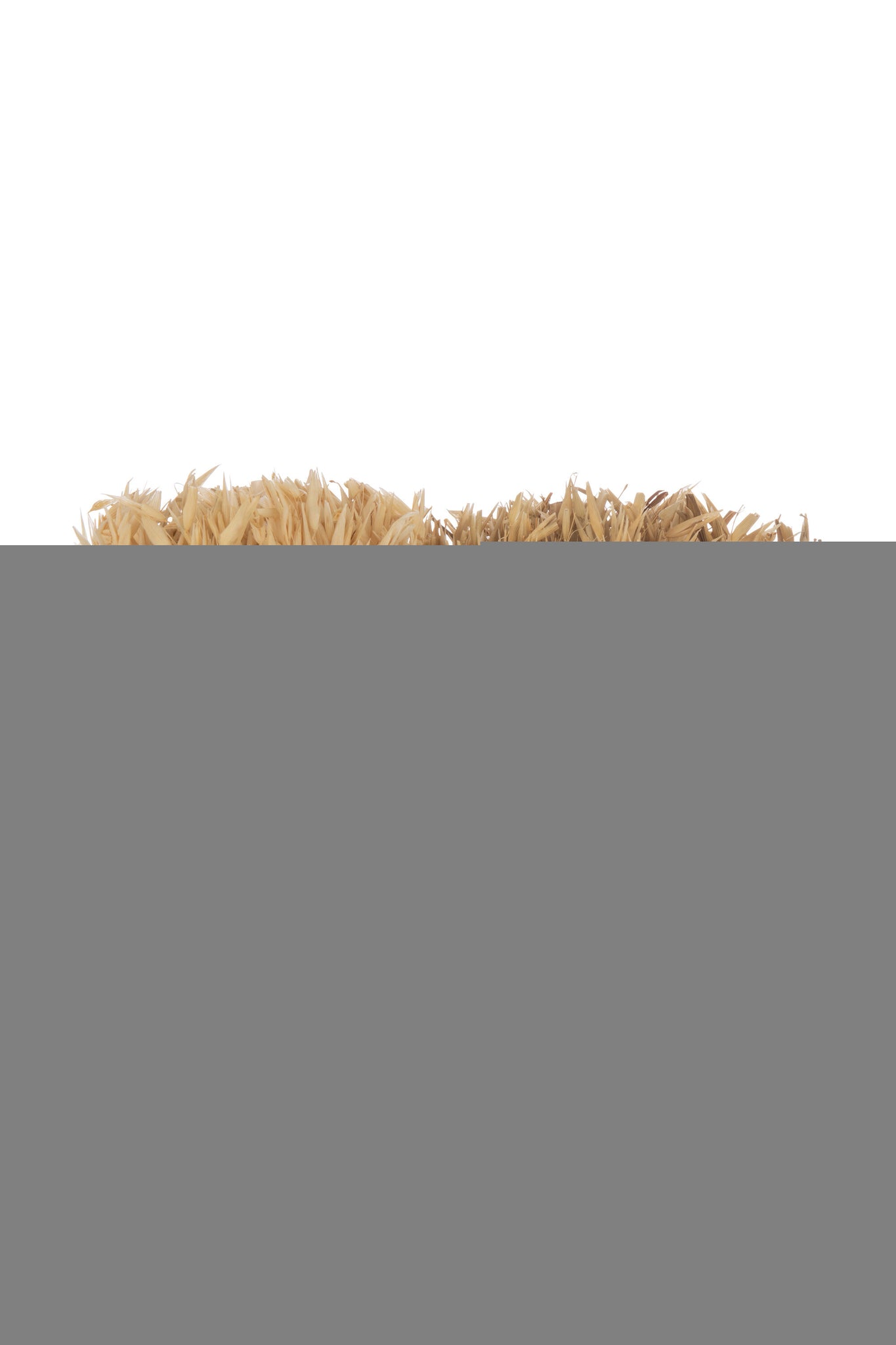 Bunch Dried Avana Grass In Vase Natural Assortment Of 2