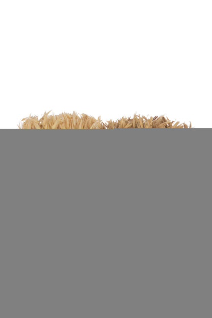 Bunch Dried Avana Grass In Vase Natural Assortment Of 2