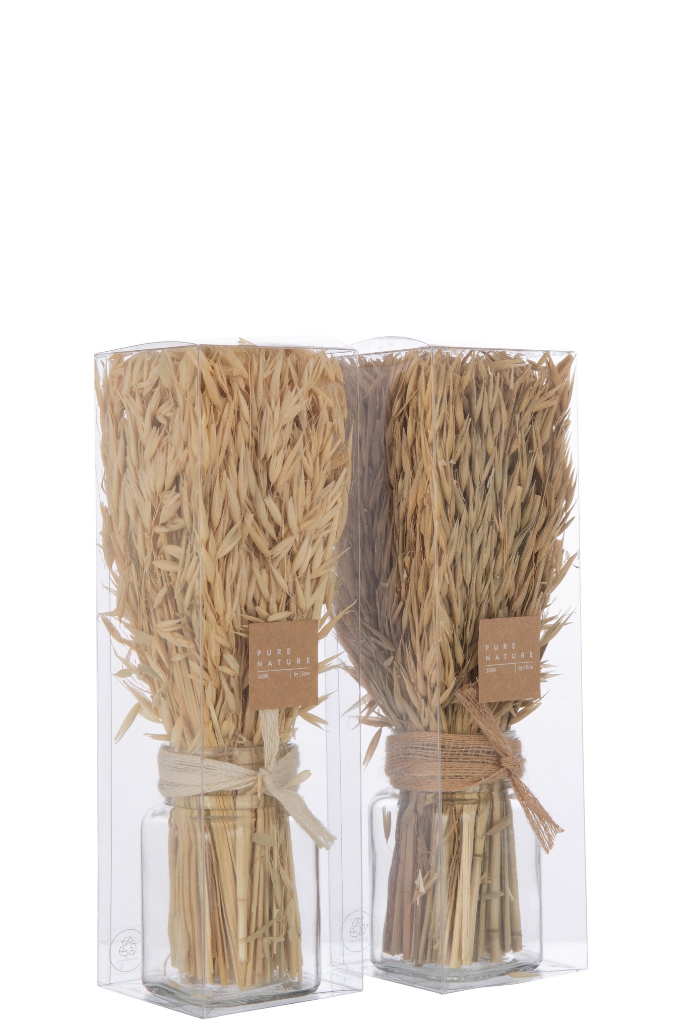 Bunch Dried Avana Grass In Vase Natural Assortment Of 2