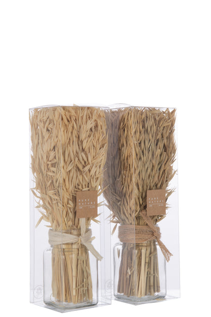 Bunch Dried Avana Grass In Vase Natural Assortment Of 2
