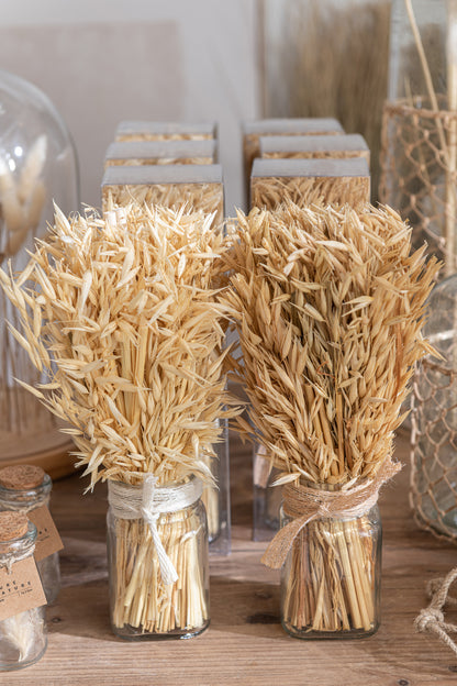 Bunch Dried Avana Grass In Vase Natural Assortment Of 2