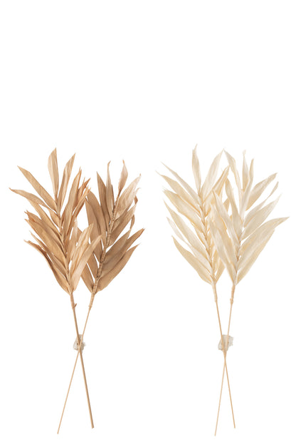 Dried Leaves 2 Pieces Natural Small Assortment Of 2