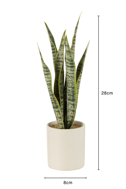 Sansevieria-Kunstpflanze im Topf – PVC, grün, klein, H28 cm