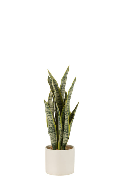Sansevieria-Kunstpflanze im Topf – PVC, grün, mittel, H36 cm