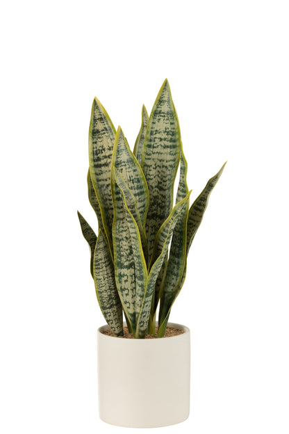Sansevieria kunstplant in pot – PVC, groen, large H49 cm