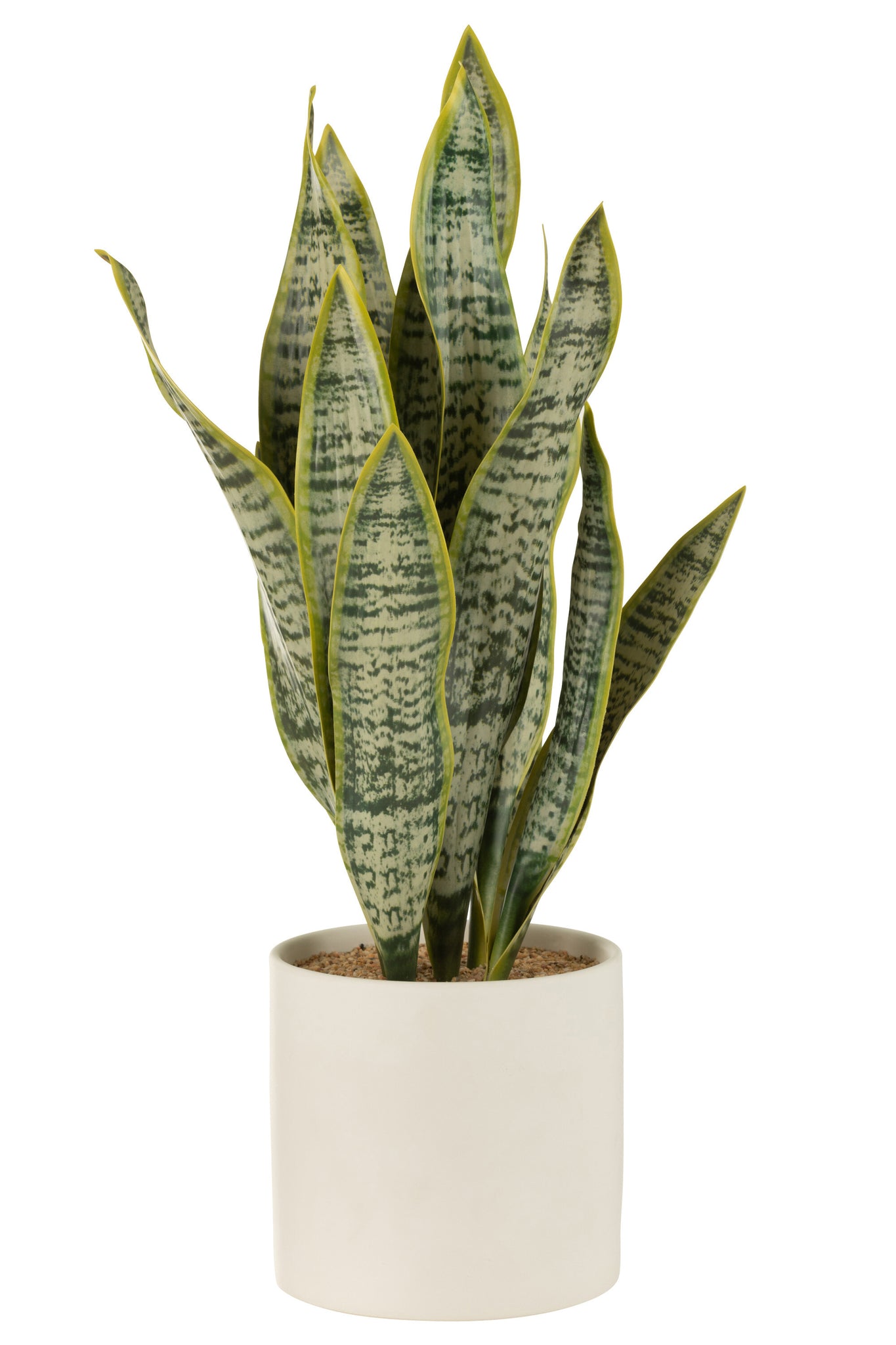 Sansevieria im Topf, PVC, grün, extra groß
