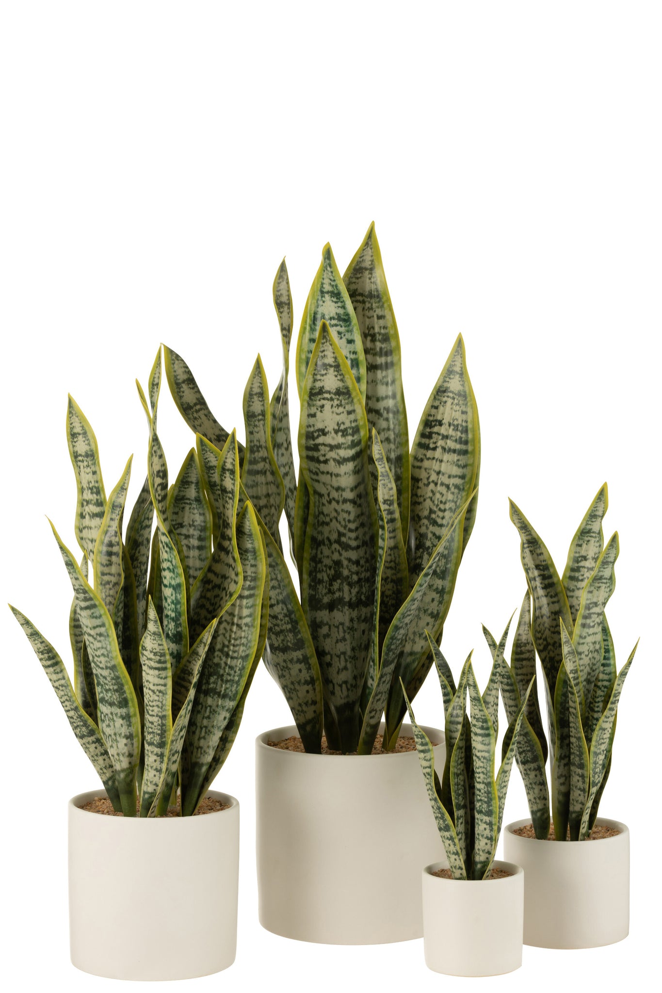 Sansevieria im Topf, PVC, grün, extra groß