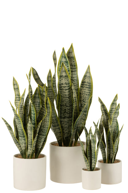 Sansevieria im Topf, PVC, grün, extra groß