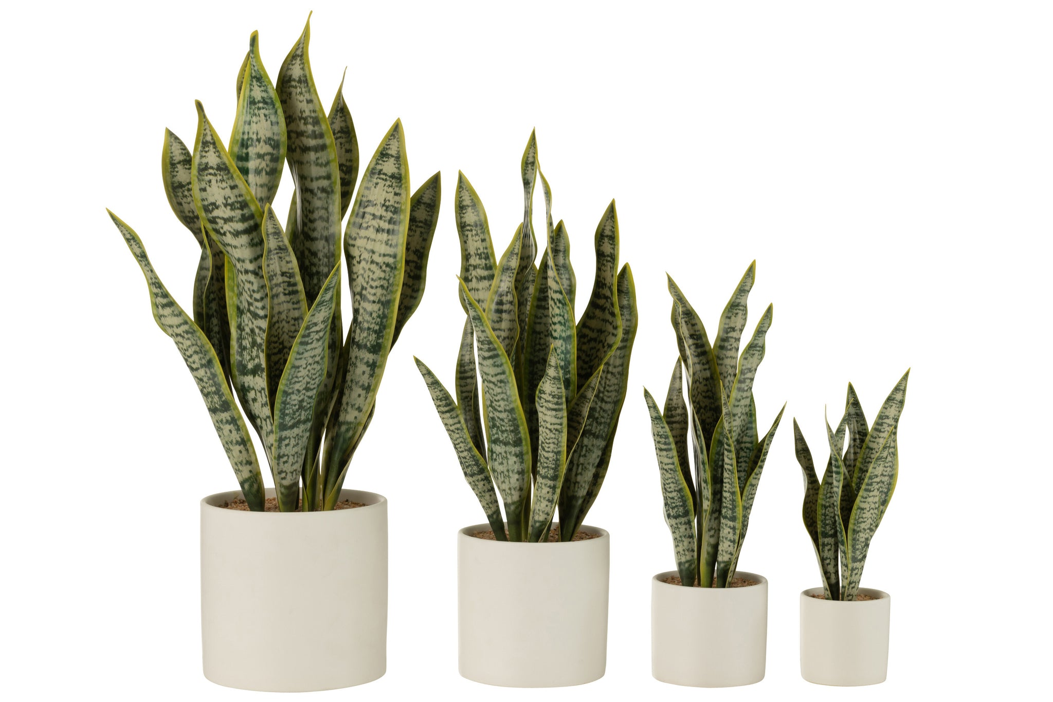 Sansevieria im Topf, PVC, grün, extra groß