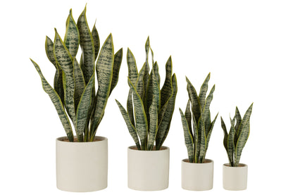 Sansevieria im Topf, PVC, grün, extra groß