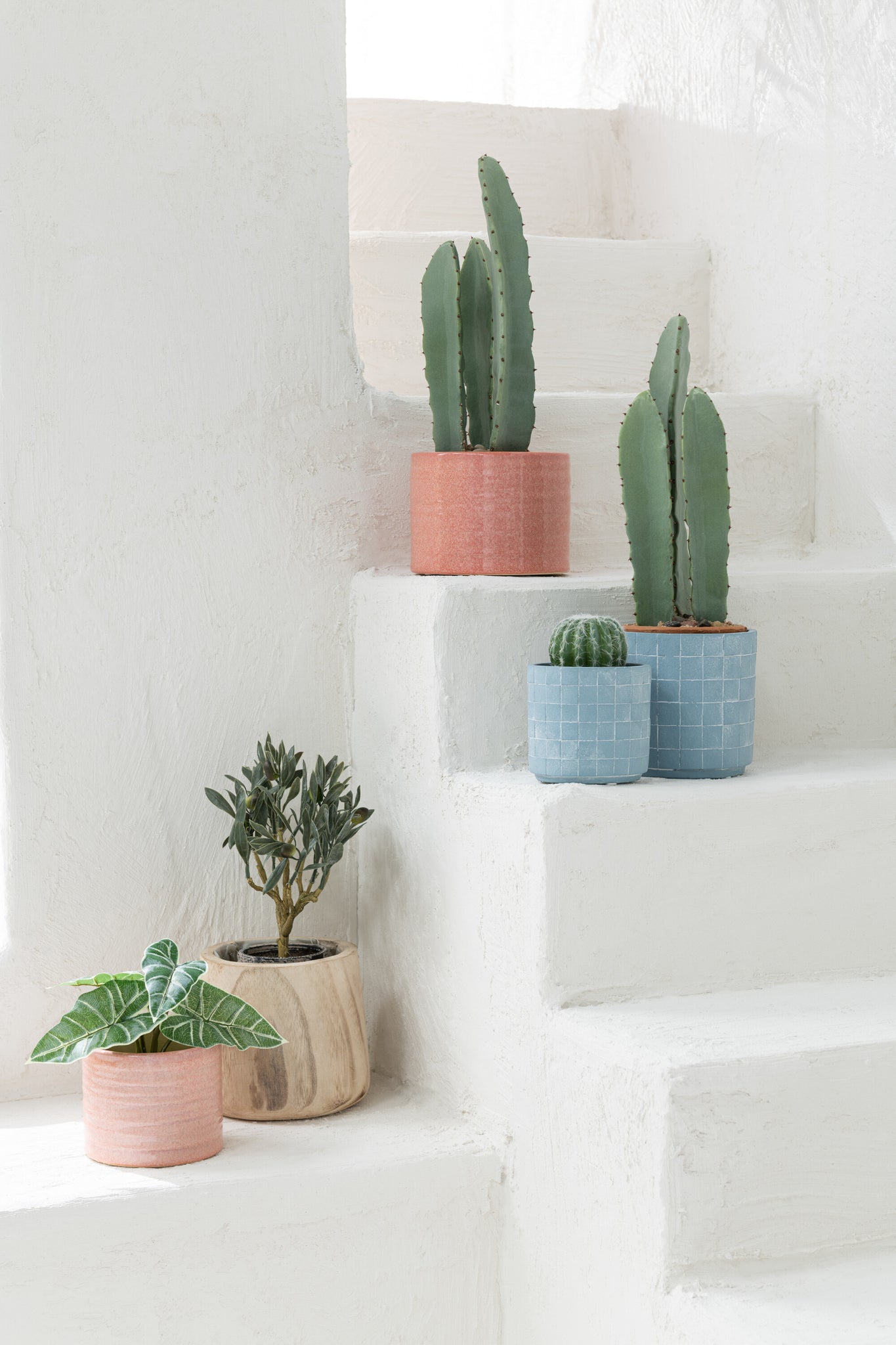 Cactus 3 Parts In Pot Plastic Green Small