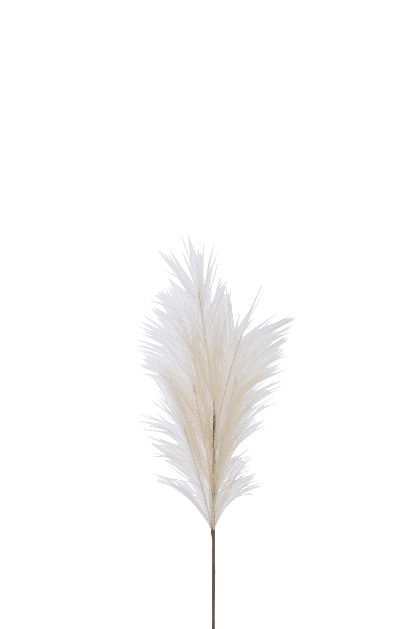 Branch Plumeau Plastic Beige Small