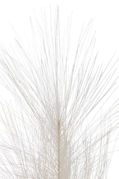 Branch Plumeau Plastic Beige Small