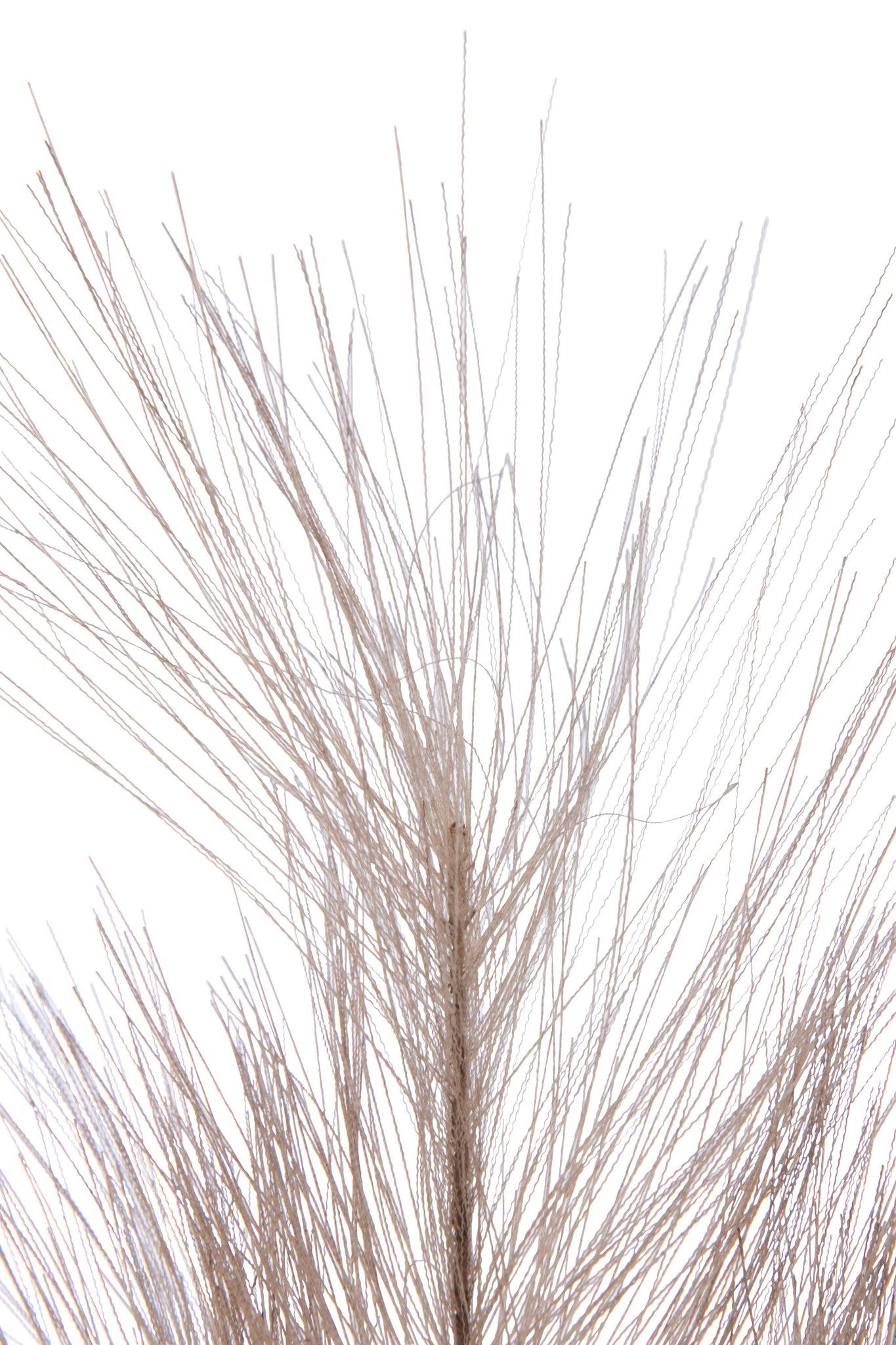 Branch Plumeau Plastic Dark Brown Small