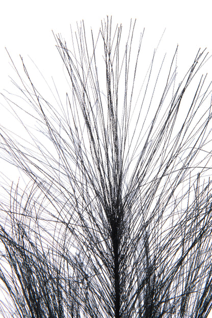 Branch Plumeau Plastic Black Small