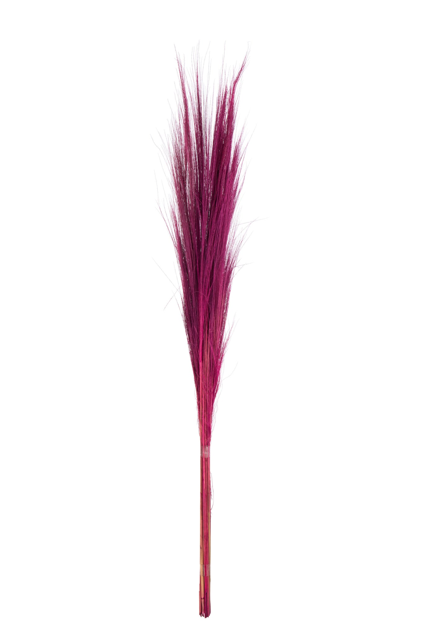 Bundle of 15 colored grass fuschia volledig beeld