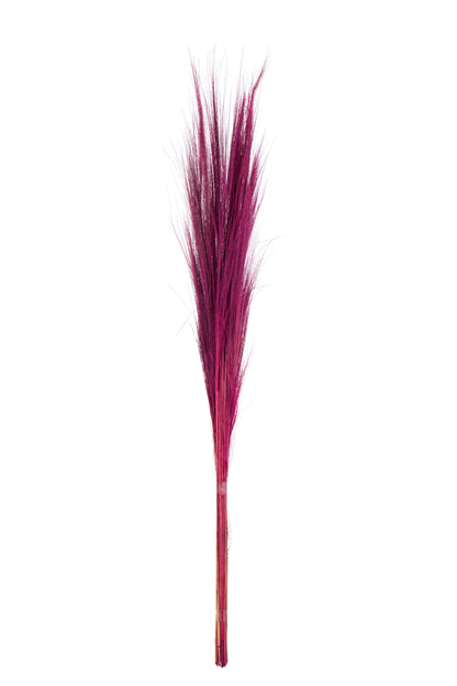 Bundle of 15 colored grass fuschia volledig beeld