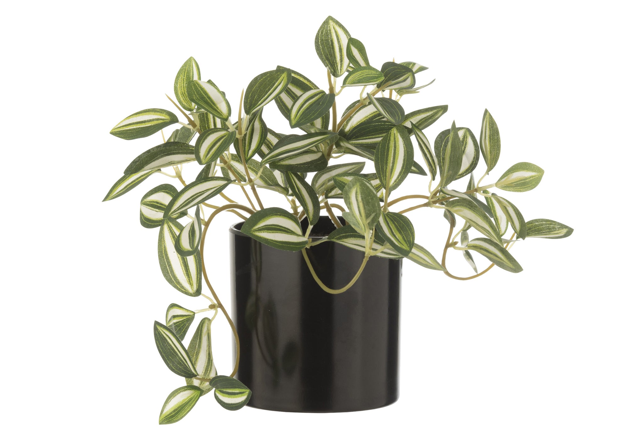 Tradescantia In Pot Artificial Green/White