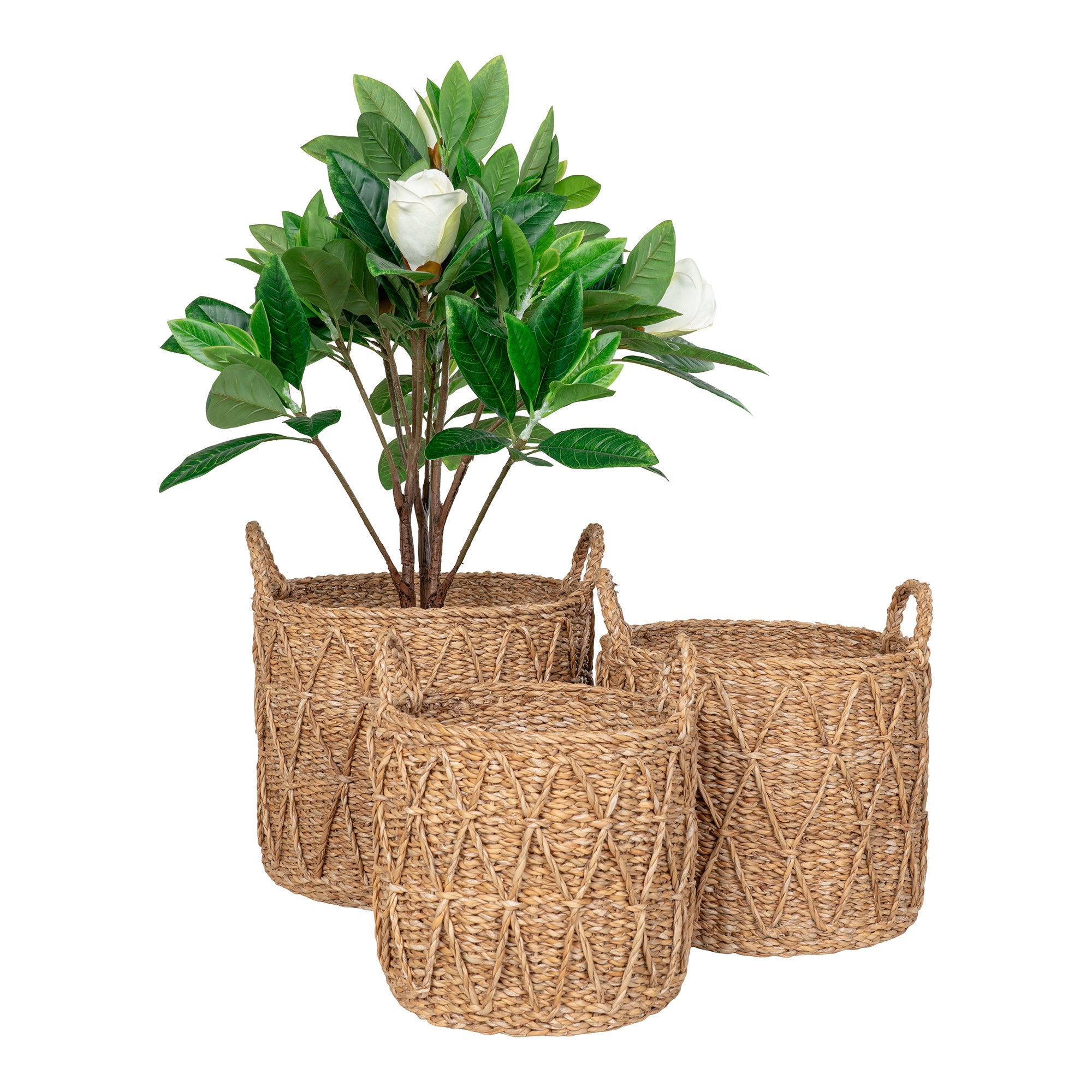 KRABI BASKETS | SET VAN 3 | SEAGRASS NATUUR