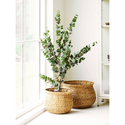 Eden Baskets - Körbe, Seegras, Natur, 2er Set