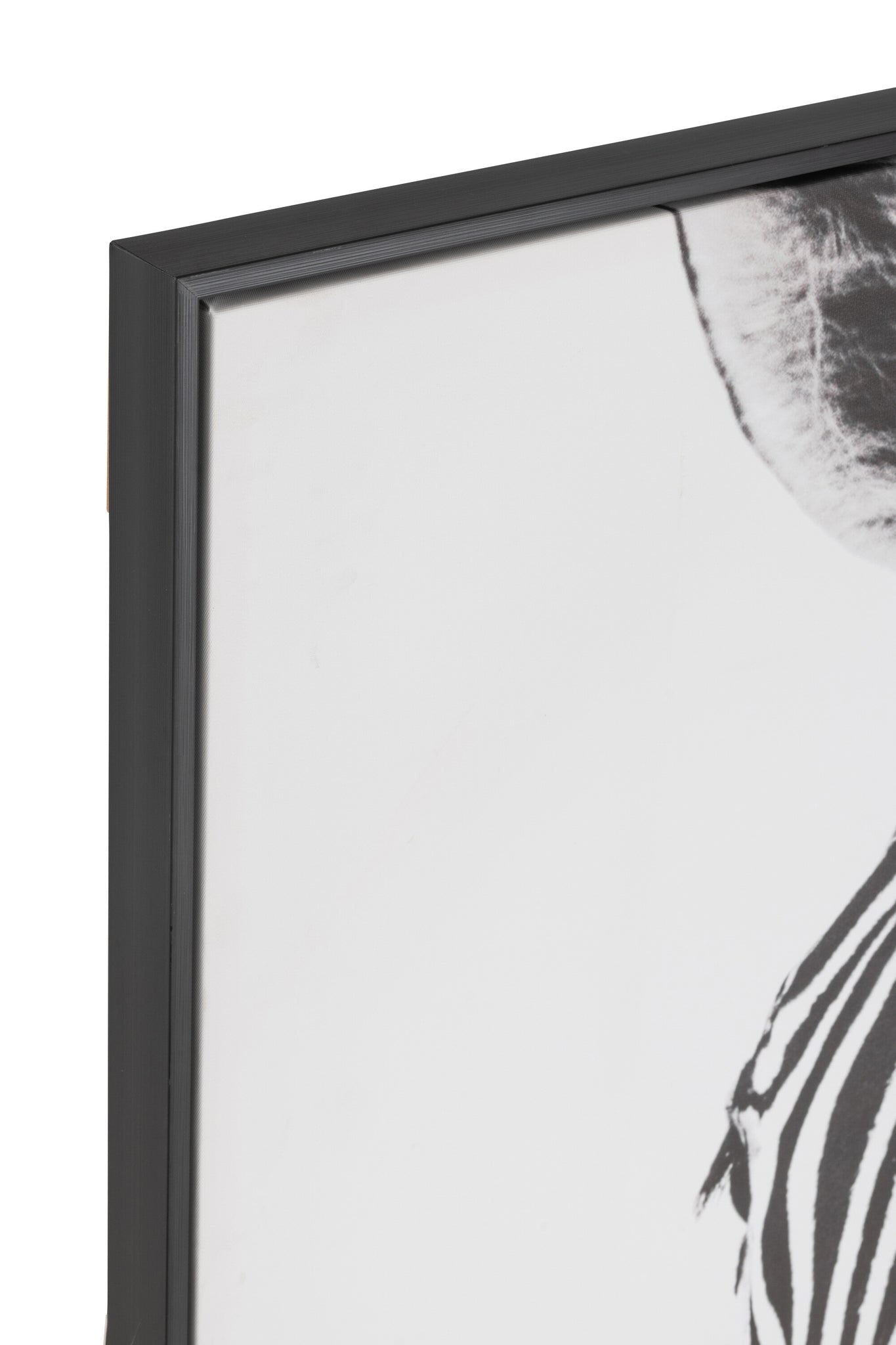 Wanddeko Zebra Leinwand/Kunststoff Schwarz/Weiß