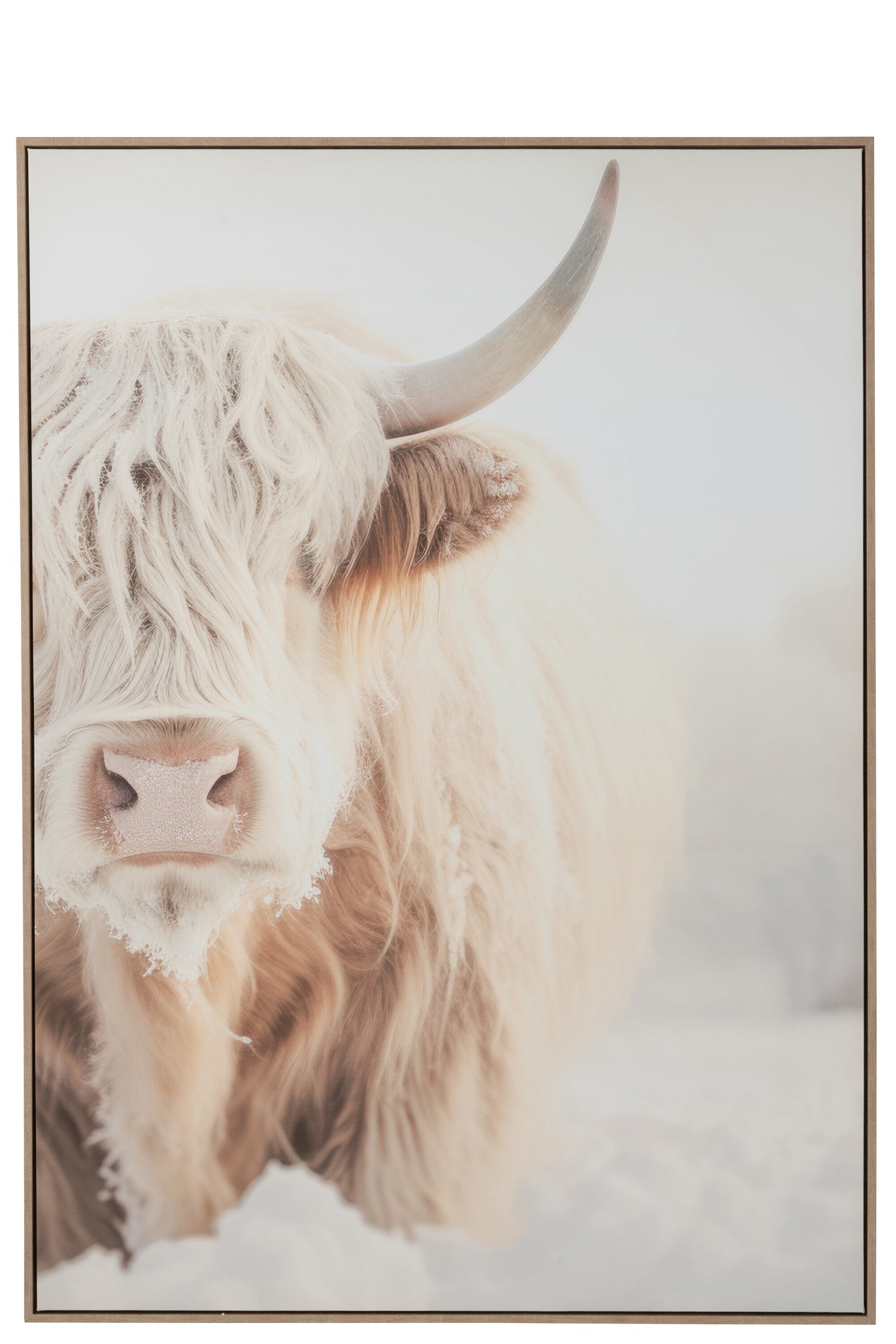 Wall Deco Yak Face Pinewood/Polyresin White/Beige