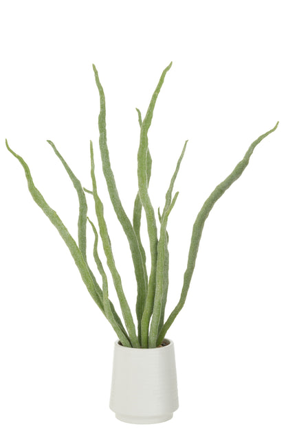 Sukkulente Pflanze im Topf, künstliches Grün