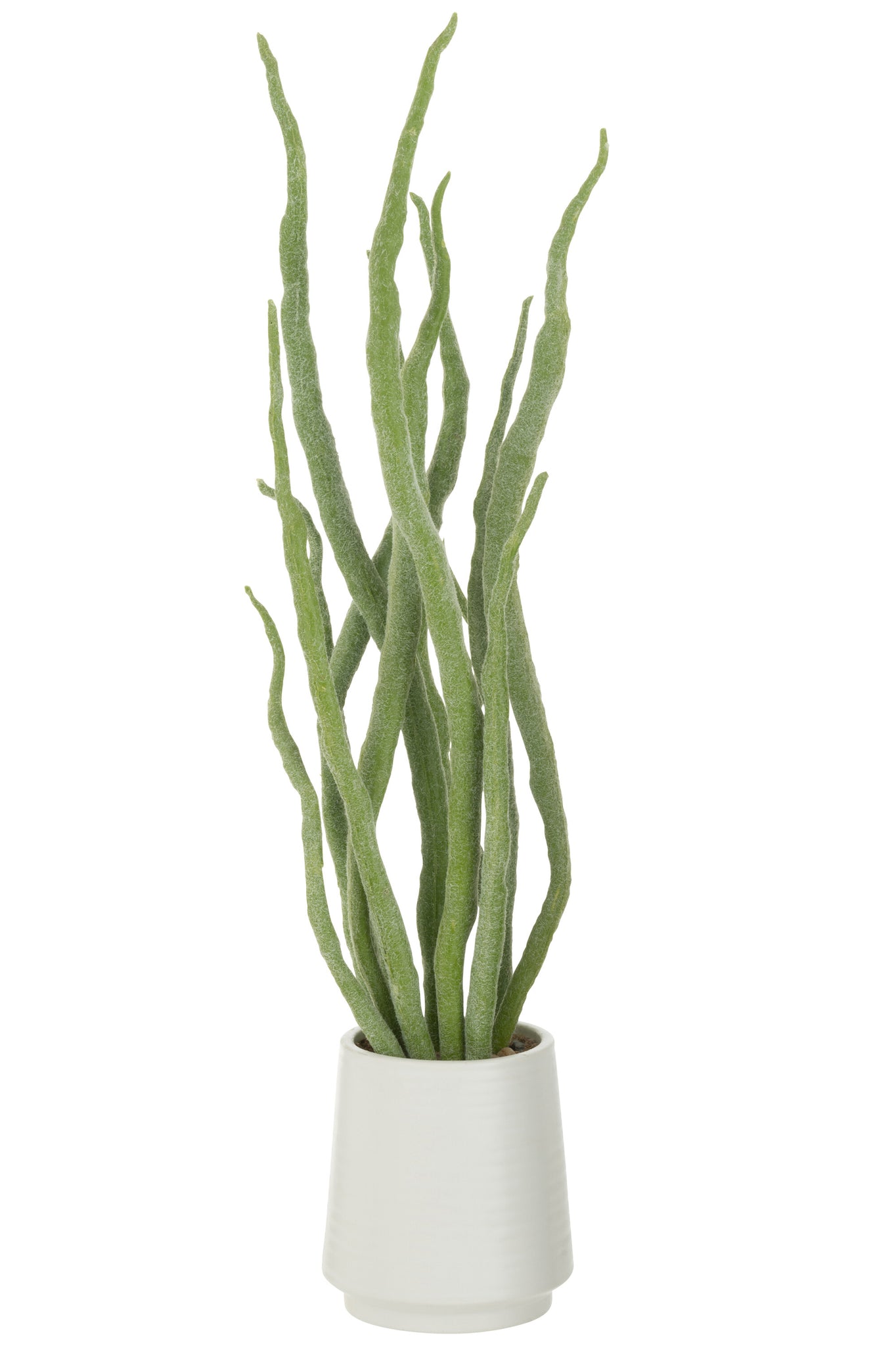 Sukkulente Pflanze im Topf, künstliches Grün