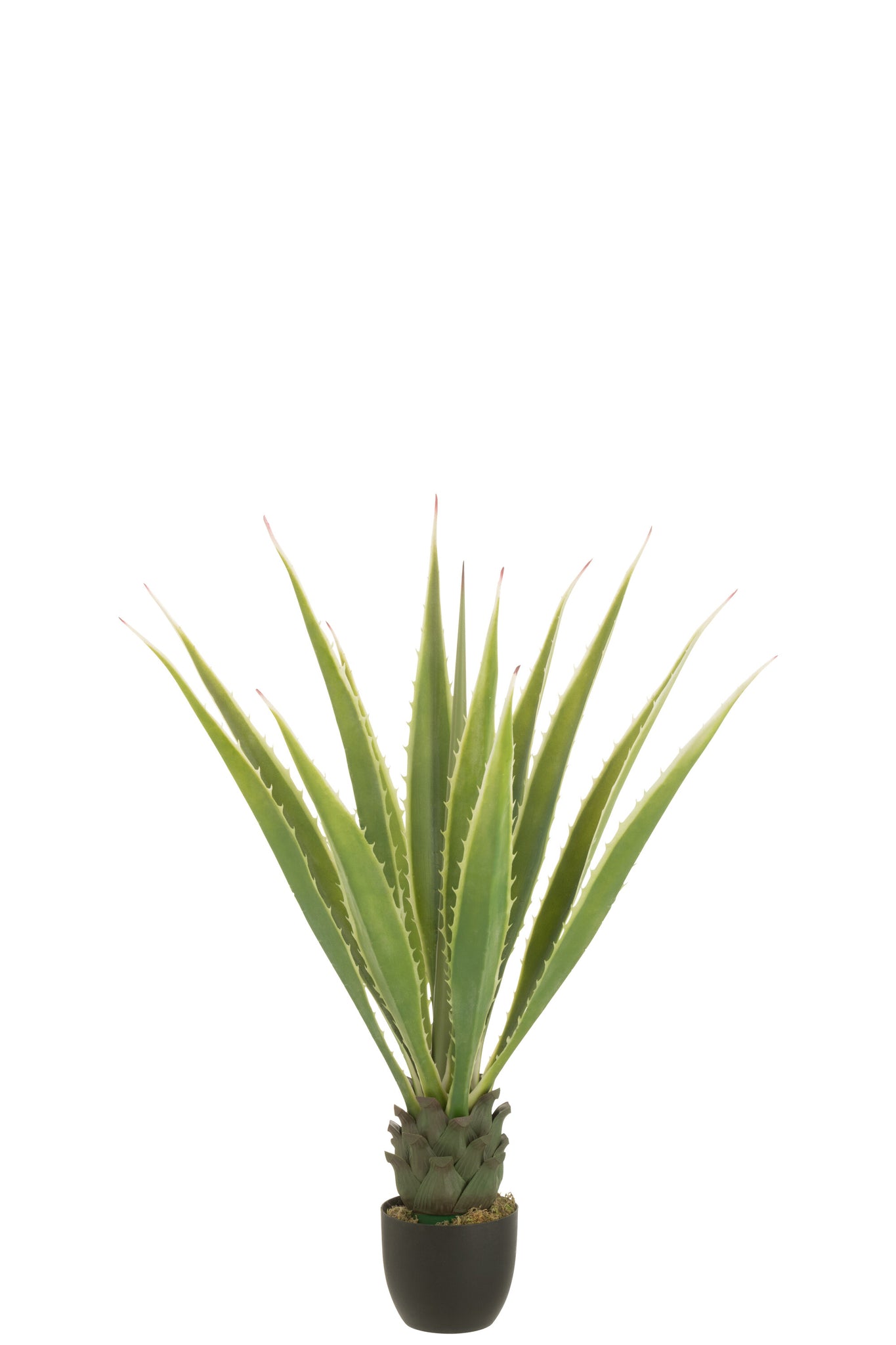 Agave Off-White Edge Pot Artificial Green