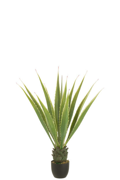 Agave Off-White Edge Pot Artificial Green