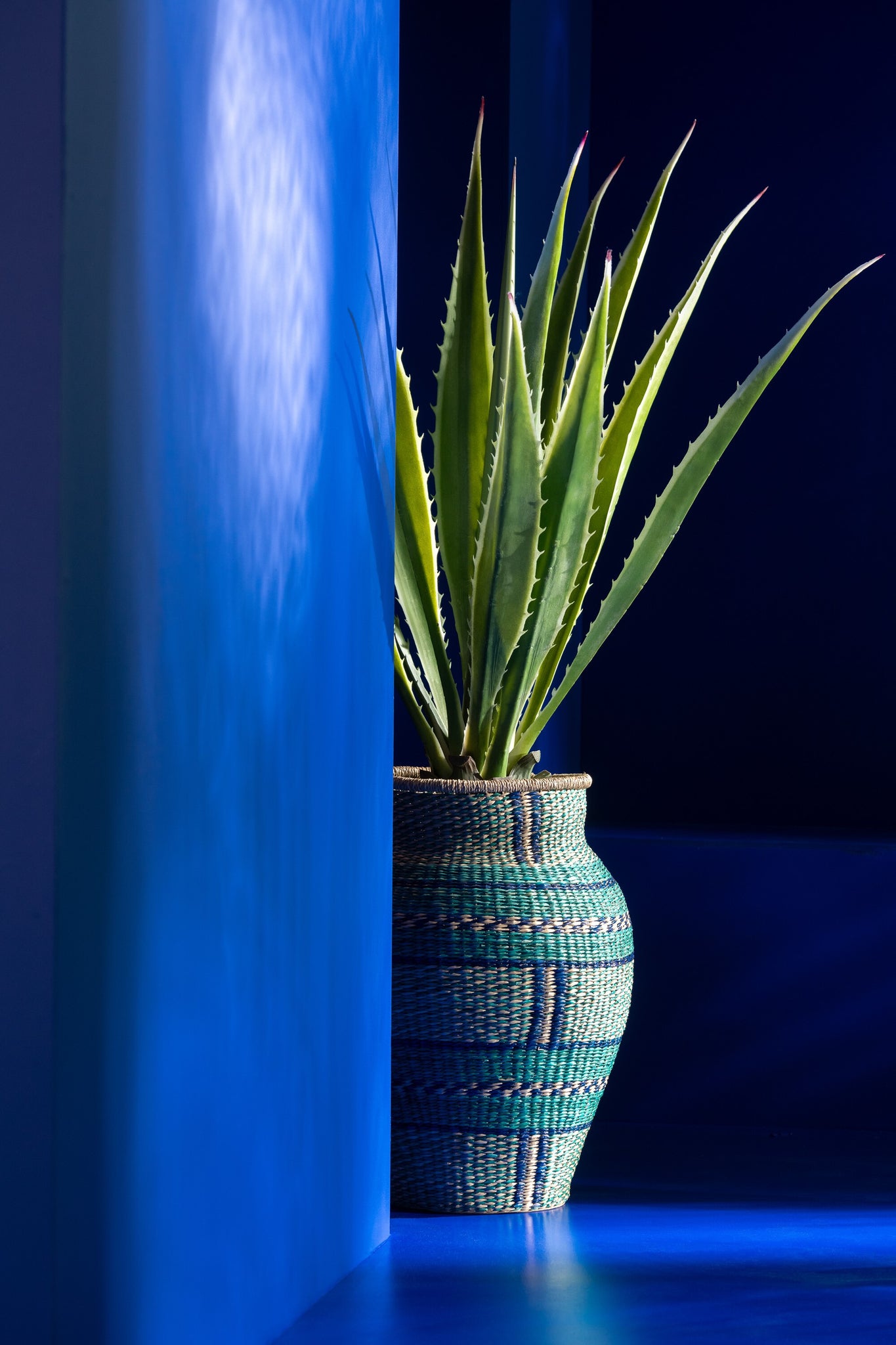 Agave Off-White Edge Pot Artificial Green