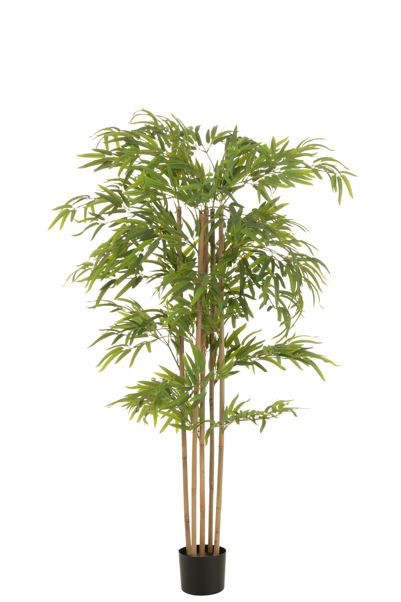 Bamboo Pot Artificial Green