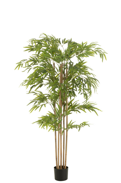 Bamboo Pot Artificial Green