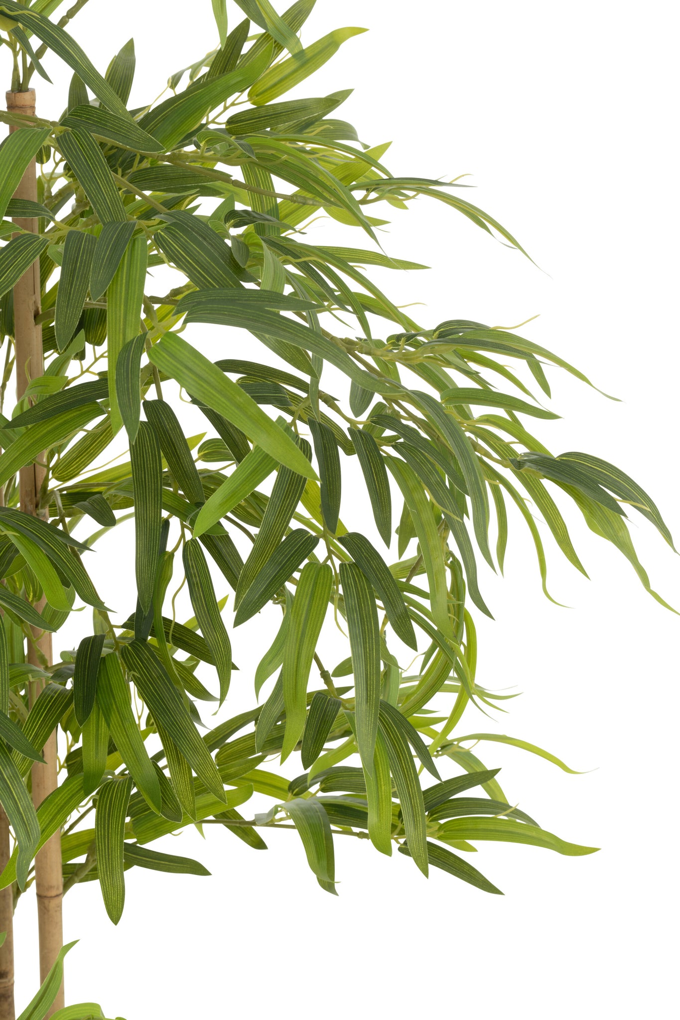 Bamboo Pot Artificial Green