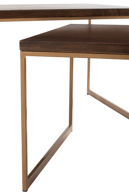 Couchtisch Rafi, 3-teilig, Eisen/Mangoholz, Gold/Dunkelbraun