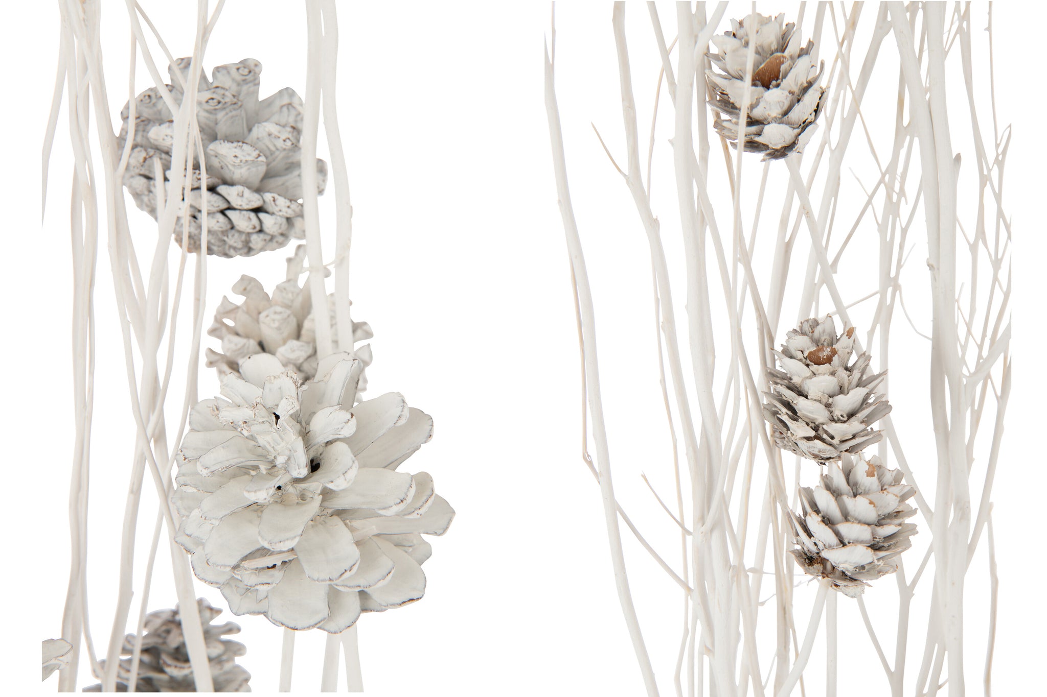 Branch Pine Cone Dry Flower White Assortment Of 2