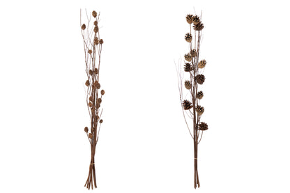 Branch Pine Cone Dry Flower Dark Brown Assortment Of 2