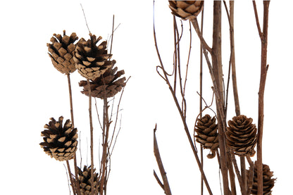 Branch Pine Cone Dry Flower Dark Brown Assortment Of 2