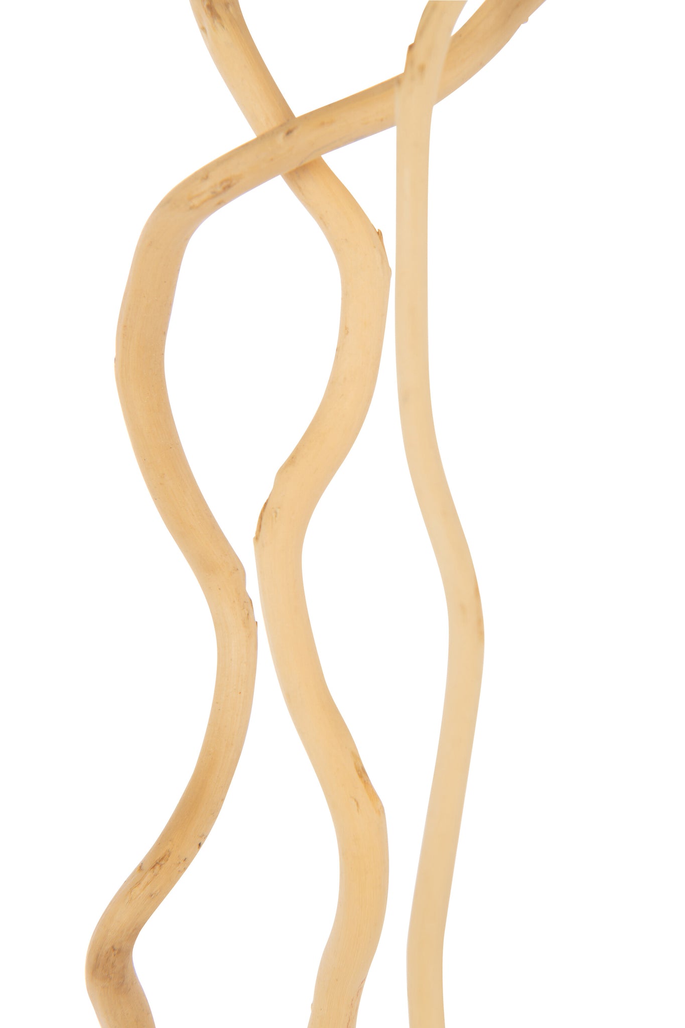 Bundle Of 3 Branch Dry Flower Natural Large