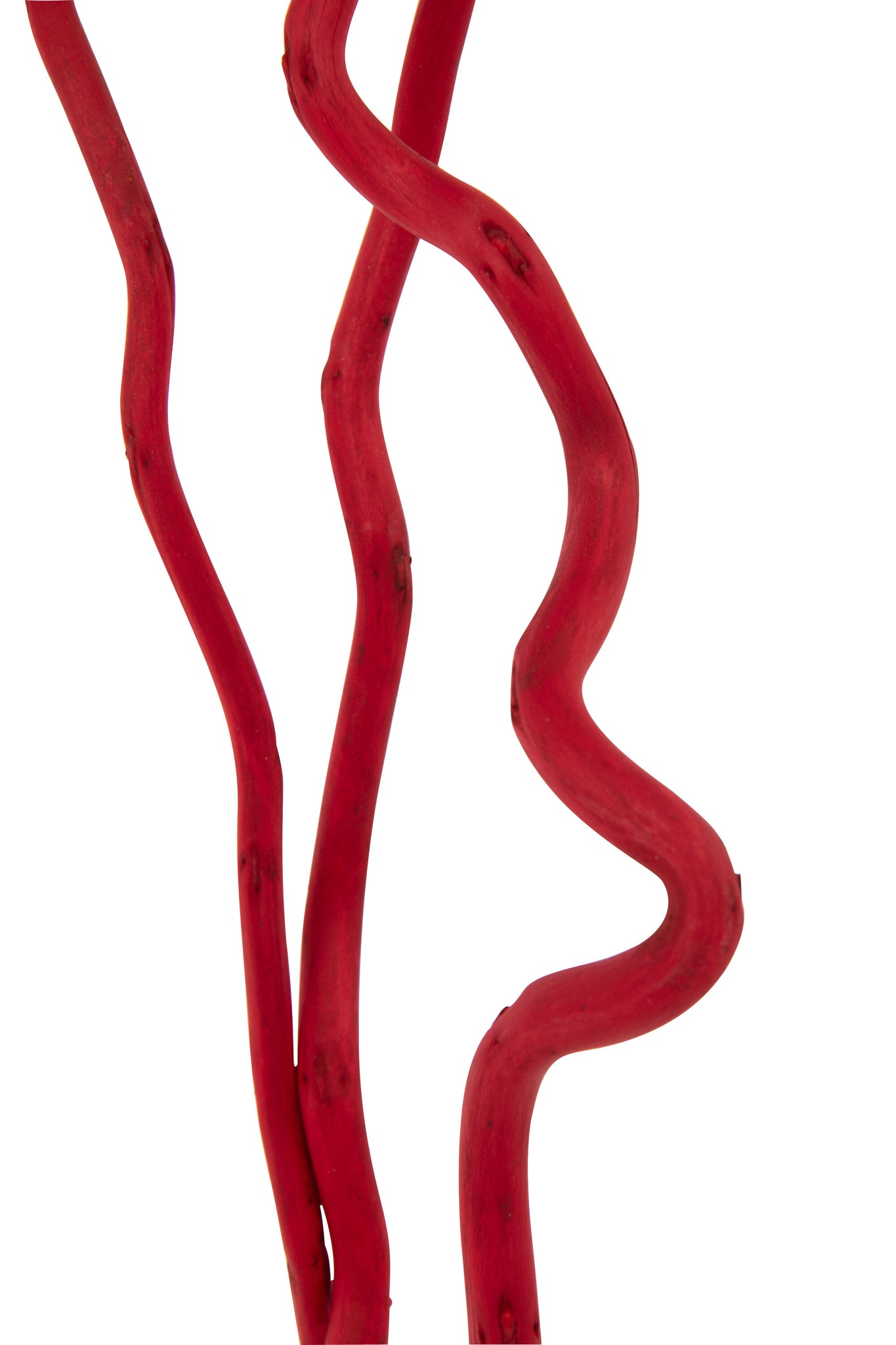 Bundle Of 3 Branch Dry Flower Red Medium