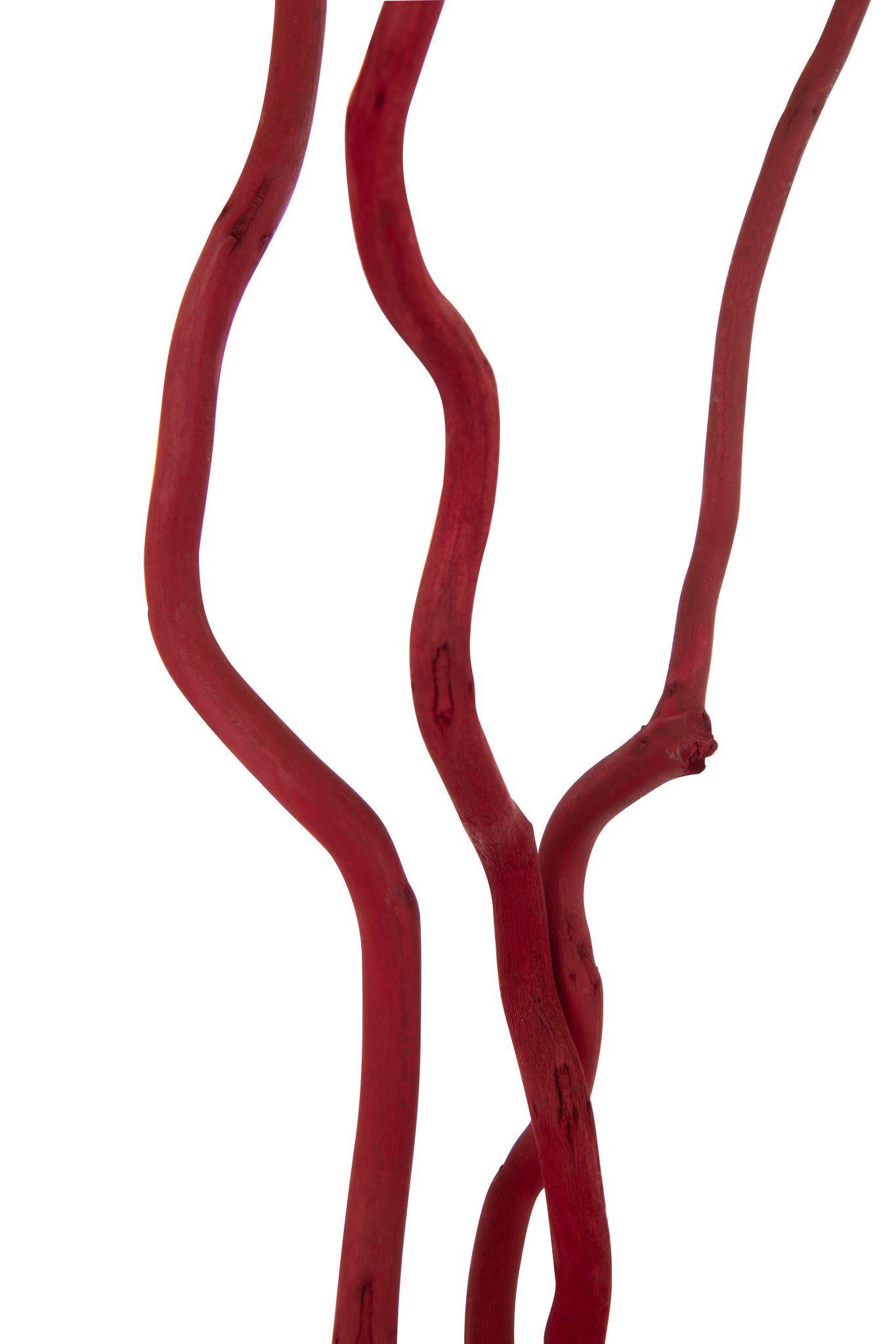 Bundle Of 3 Branch Dry Flower Red Large