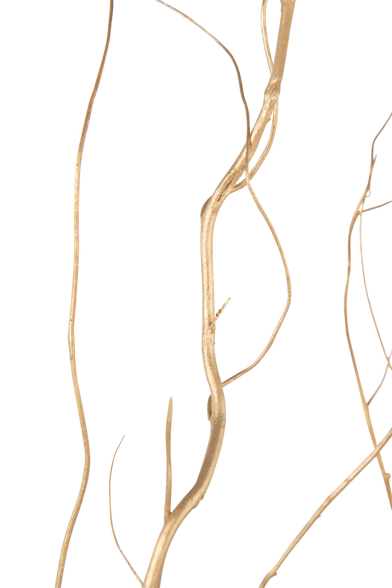 Bundle Of 6 Branch Dry Flower Gold Colored Large