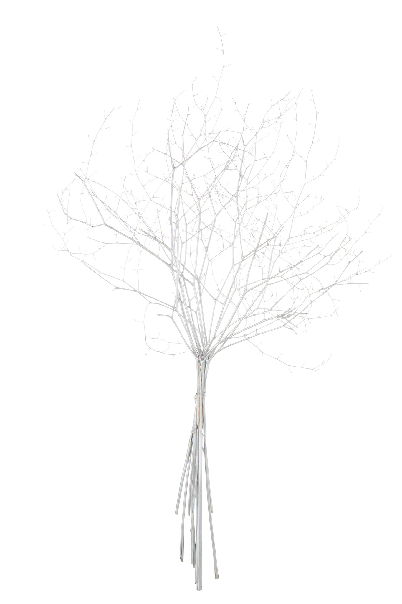 Branch Dry Flower Silver Colored