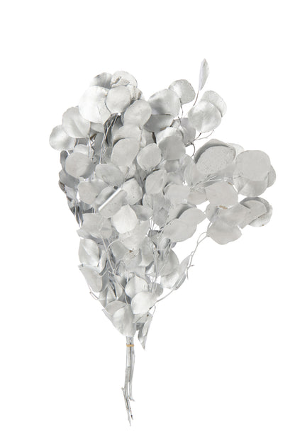 Eucalyptus Dry Flower Silver Colored