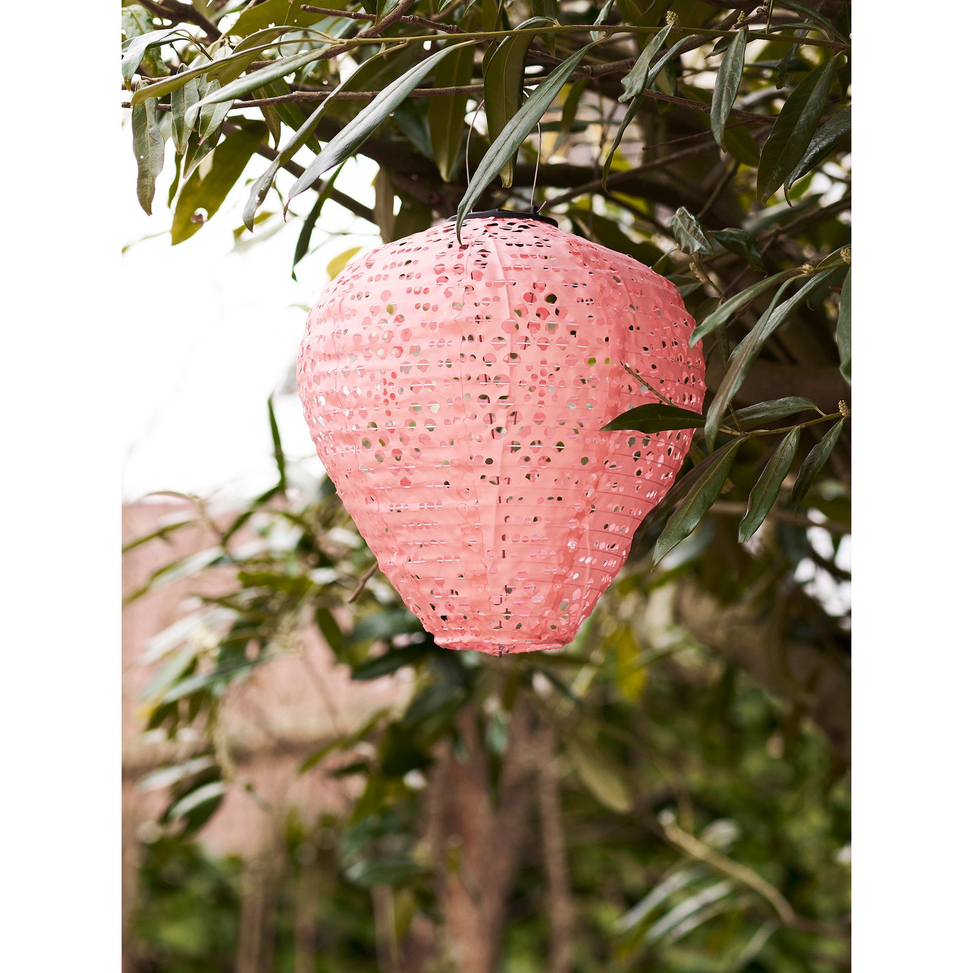 Greatham LED Lantern - Lantern, rechargeable with integrated solar panel, rose