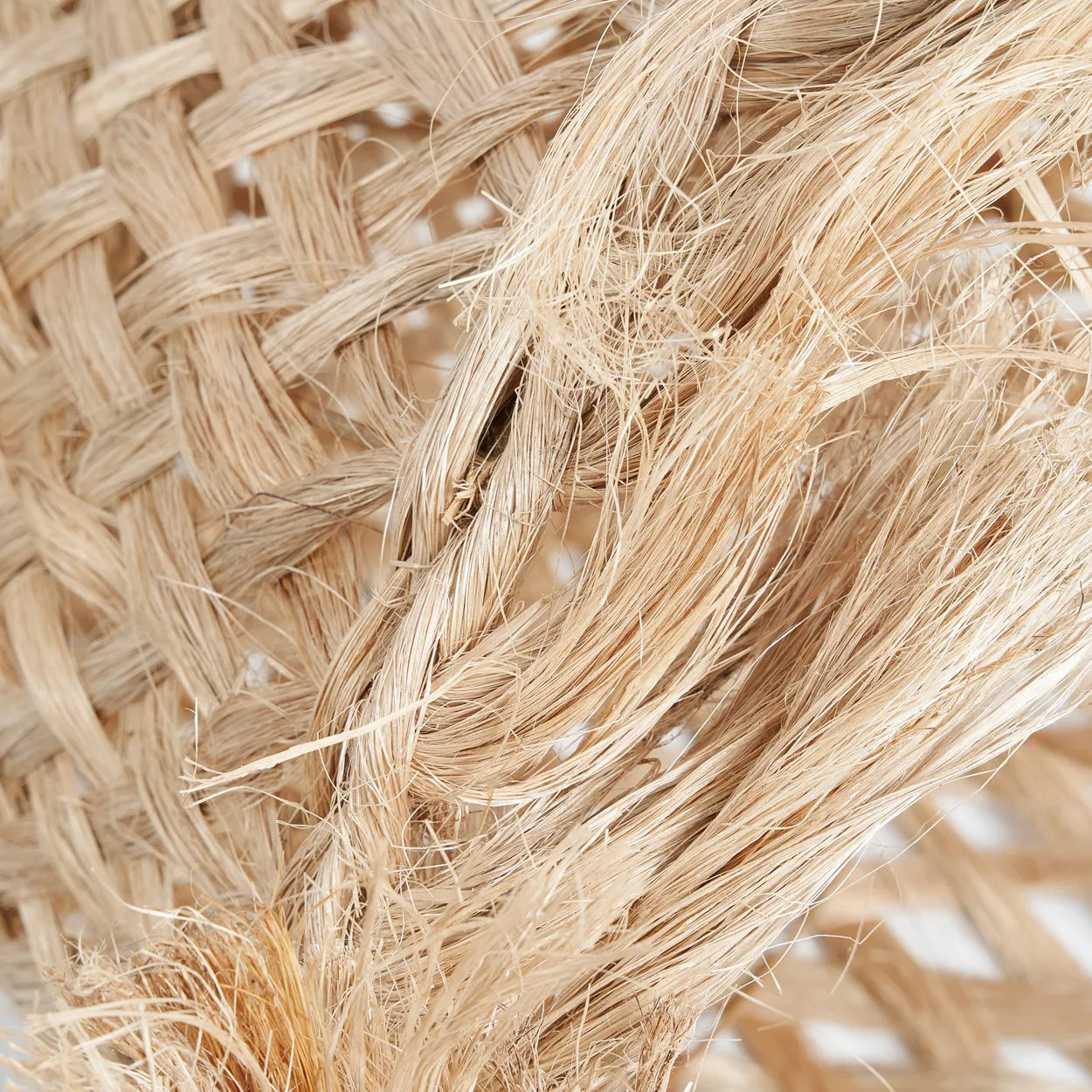 Der Abaca-Quallenanhänger – Natur – M