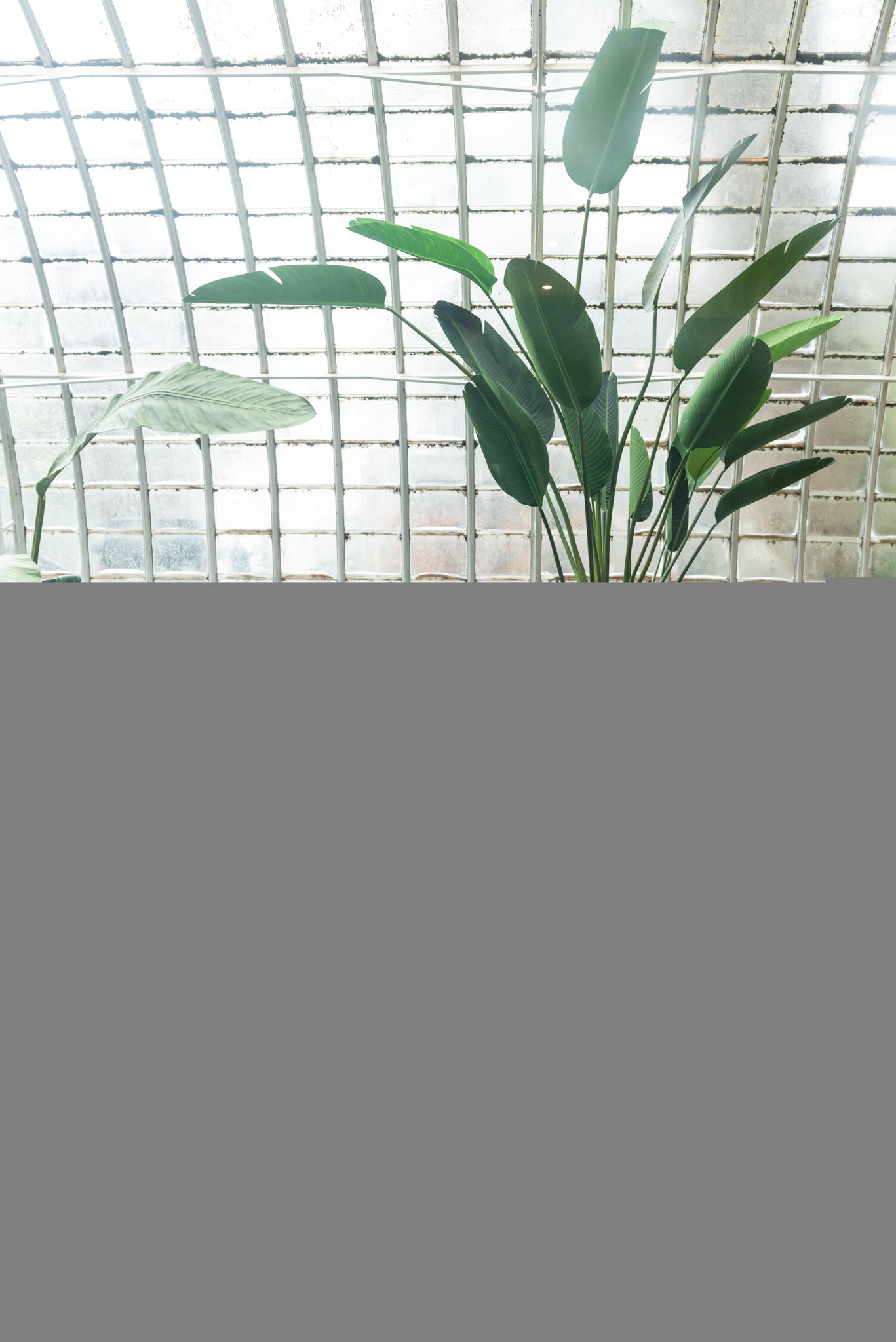 Cylinder Candle Dark Green Xxl-140H